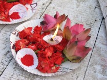 india 1 sett_ott 2008 214