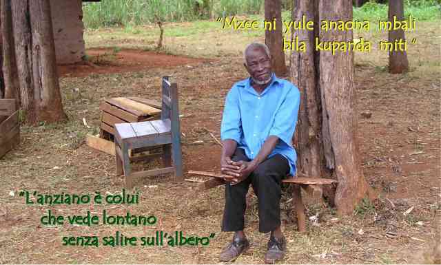 Mzee ni yule anaona mbali bila kupanda miti1