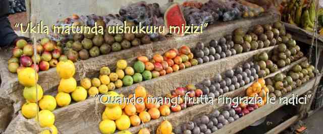 Ukila matunda uishukuru mizizi